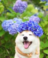 https://images.plurk.com/3Vw4DNpK10XG1Ukm5NI5fx.jpg