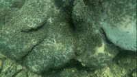 https://images.plurk.com/3WB7jZ4bYbSKb0zs7zuKs9.jpg