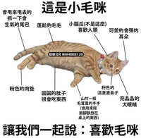 https://images.plurk.com/3WFTMQu6WhLBngcmXXN6pC.jpg