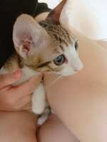 https://images.plurk.com/3WLDJCqSLcnlVuY9rCcJ0V.jpg