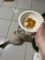 https://images.plurk.com/3WMCYmXK42Z4x68TRa016T.jpg