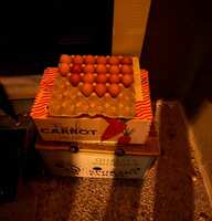 https://images.plurk.com/3WR54eJVORH0fW1MGbCLP8.jpg