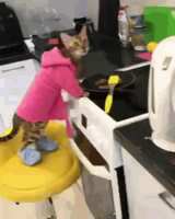 https://images.plurk.com/3WV0CkQdSxHRlug3LflSPR.gif