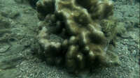 https://images.plurk.com/3Wcapm92PSkxinYNvFRLu7.jpg