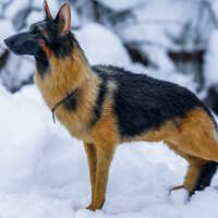 https://images.plurk.com/3Wijet7VaBI9akuyRiX4k.jpg
