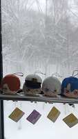 https://images.plurk.com/3WjE13EDdDRlXqyEuFkuB1.jpg
