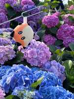 https://images.plurk.com/3Wm4p92oPlCu2PANANT9Xw.jpg