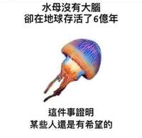 https://images.plurk.com/3Wme51eBWgSrZGEgOlANNJ.jpg