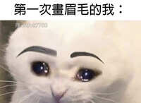 https://images.plurk.com/3WnVW8QSSXlIQqGNt5EZYT.jpg