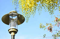 https://images.plurk.com/3WxzCwCh8v3Y9rEpx7DLNQ.jpg