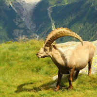 https://images.plurk.com/3X5uqQLfHkLdf6YOitzM.jpg