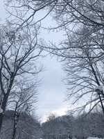 https://images.plurk.com/3XCirMYzLCc6Y8ax6iPSO7.jpg
