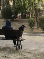 https://images.plurk.com/3XK6MLIXpEAL1SftqMY5OW.jpg
