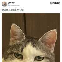 https://images.plurk.com/3XSP0R3ApDg2c1dQy1SZC.jpg