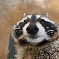https://images.plurk.com/3XTg6Qugtc5ht30MNzFLMw.jpg