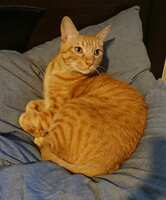 https://images.plurk.com/3XV67nqH6ndyL2xnx3KOYi.jpg