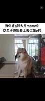 https://images.plurk.com/3XmY86xJFkkmiIPTztmJGY.jpg