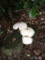 https://images.plurk.com/3XwqGByS0qrbDLTIOfPjGT.jpg