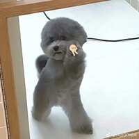 https://images.plurk.com/3Xx4gjLMqockbS5FiIMclp.jpg