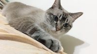 https://images.plurk.com/3YHpWjBOznlr30VrAX6aJ5.jpg