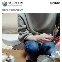 https://images.plurk.com/3YIE55b4FsSkJ9tb1gZcaC.jpg