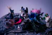 https://images.plurk.com/3YJBAcDbxst1K1gfNcoYY6.jpg