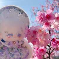 https://images.plurk.com/3YglM7V0YrMXLEdnWuwnAS.jpg