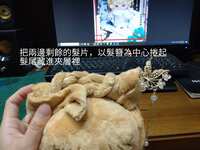 https://images.plurk.com/3Yu3fRTY84bZ4c9XwSkve4.jpg