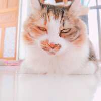 https://images.plurk.com/3Z6LBqG9F46EMrzyOabflP.jpg