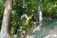 https://images.plurk.com/3Z7ybC9CbkrPL1s8eEYCjN.jpg
