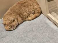 https://images.plurk.com/3ZBHQhx2iLahswNbiBvkA8.jpg