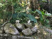https://images.plurk.com/3ZJ7xxHOpQuc3tJWi4V7Q4.jpg