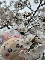 https://images.plurk.com/3ZJcAeraTF0eFfzJDaEVh0.jpg