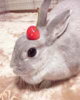 https://images.plurk.com/3ZLdl1hBcPTabeFMecBb5c.png