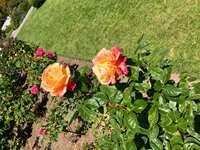 https://images.plurk.com/3ZMNKLc9L8Z3cVxmWG9C8H.jpg