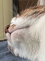 https://images.plurk.com/3ZPBfrVZngaqgzHzN3IdI9.jpg
