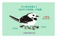 https://images.plurk.com/3ZeHNGX2PmL5sU26IPT2Kf.jpg