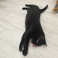 https://images.plurk.com/3ZkWcLaGXVx0dVquLG7S2z.jpg