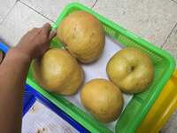 https://images.plurk.com/3ZreP4MLSpw8ZwqxnKeJ0m.png