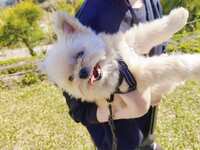 https://images.plurk.com/3Zy51r6LCZCTTjfbF066qG.jpg