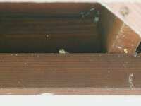 https://images.plurk.com/3ZzKDC5mX1nwKmoiNZNpfq.jpg