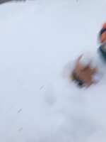 https://images.plurk.com/3a5tPz29vogSIomcWBHqOx.jpg