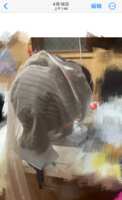 https://images.plurk.com/3aHzH8AMqvXS5x6fyxs2lD.png