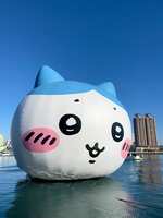 https://images.plurk.com/3aLrJkeJx55FWwDn1Us8pR.jpg