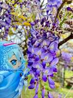 https://images.plurk.com/3aQ9itfElKDgzwqedbJCrh.jpg