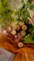 https://images.plurk.com/3aUFH9lzJesYytr3YdJG6z.jpg
