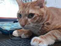 https://images.plurk.com/3aUaJJVzfjRJTHZ1hZjNKW.jpg