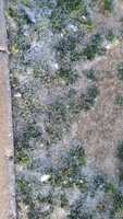 https://images.plurk.com/3aY5bt9WzUTq1A9fvKsCGM.jpg