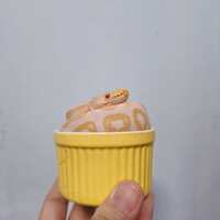 https://images.plurk.com/3aYZw6pcuGwSwhhc1UYhWv.jpg