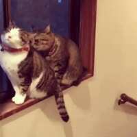 https://images.plurk.com/3aeHMUSUTUOzt2gDTy5nzM.gif